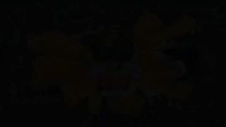 A Cheetah Hunting | Animals