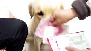 Money money