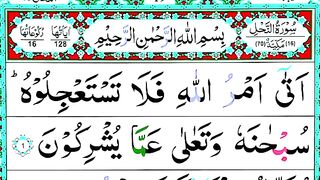 Surah Nahl 1-40 Verses Beautiful Tilawat _ Quran Sharif ki Khubsurat Voice