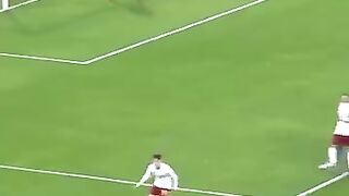 Beautiful worked goal
