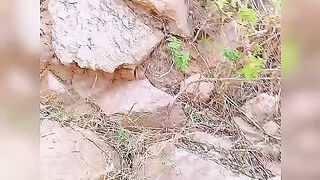 Hmari jaan bal bal bachi