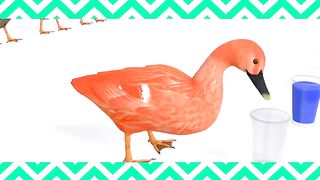 Funny #batakh like my video