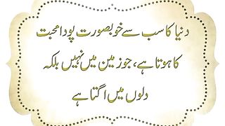 Urdu shayari WhatsApp status