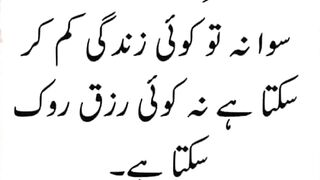 New Urdu shayari WhatsApp status video
