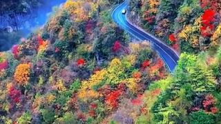 perfect nature / natureza perfeita