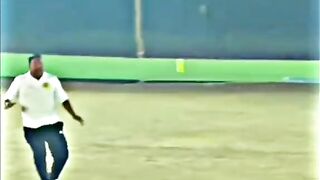 Cricket 14