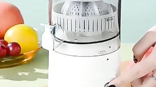 Citrus Juicer