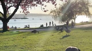 Beautiful nature|evening vibes