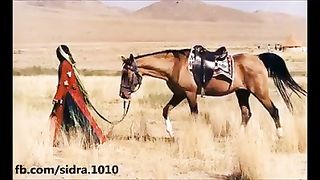 BUX DAYTA HAY KHUDA UNKO JINKE KISMAT KHARB HOTI HAY.
