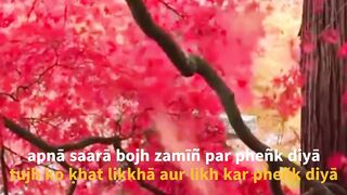 apnā saarā bojh zamīñ par pheñk diyā  iftikhar naseem poetry