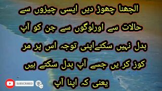 الجھنا چھوڑ دیں ایسی چیزوں سے حالات سے اور لوگوں سے