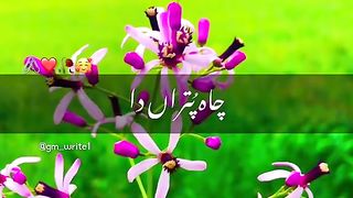 چا پوترا