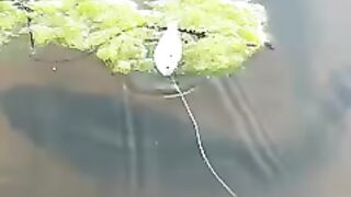 fishing 2