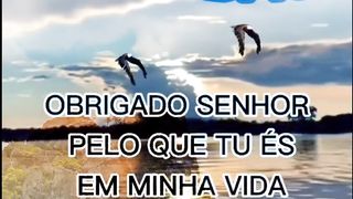 GRATIDÃO AO SOBERANO SENHOR.