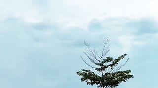 Wheather 2