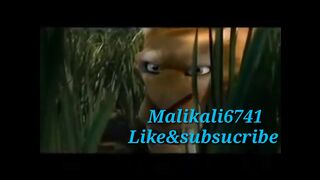 #Malikali6741 #funny video clips in Punjabi dubbed/If_You_Like_don't_forget_tosubscribe