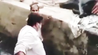 Ghai bhans paani mein ????????????????✅️????????