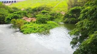 Valparai, Tamil Nadu | Tamilnadu | Tea Estates |