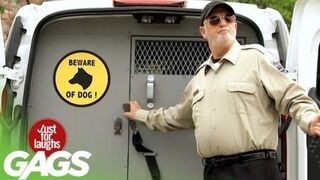 Victims Accidentally Cause a Dog JAILBREAK