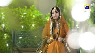 Terey Bin||Best Scene