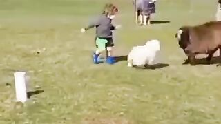 Cute boy funny