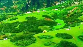 Pakistan 9