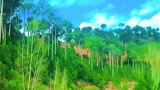 Pakistan 10