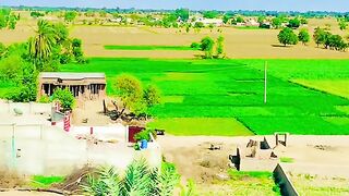 Village Life style #shots #viral