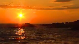 Scenery of sunflowers, Sunny beaches and nature sound