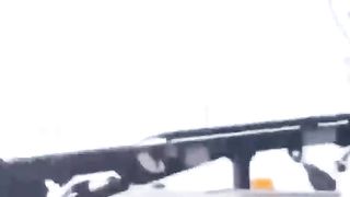 compilation d'animaux très drôle et mignonne_????????????????????????????_