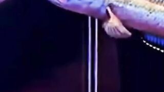 handsome limbata ornamental cork fish