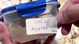 Best lifehack for the great outdoors