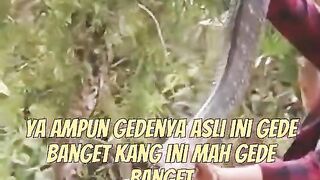 A FEW SECONDS OF PANJI CATCHING GARAGA DIRECTLY RAIN‼️