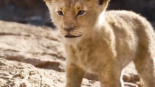 Call me by your name  George