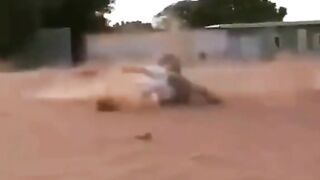 EPIC FUNNY ANIMALS