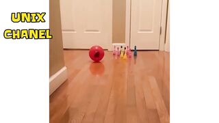TRY NOT TO LAUGH | FUNNY VIDEO | VIDEO LUCU NGAKAK ABIS