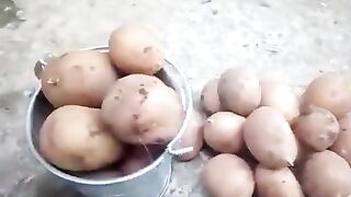 Ожидание и реальность )