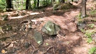 Лісовими доріжками..