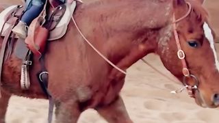 1-year-old girl has an unbreakable relationship with a horse