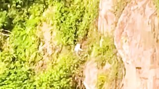 Dog stuck on a steep cliffside for four days gets rescued!