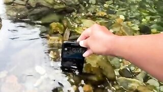 Stunning cellphone footage of underwater wonderland