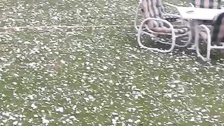 Snow fall in march