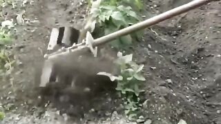 УСПЕШНА ГРАДИНА 5