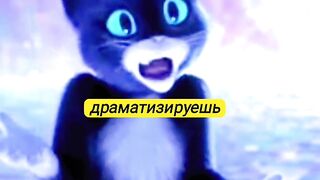 Киса и Кот