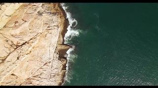 Water Beech Video