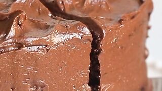 Chocolate cake lovers short