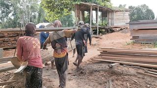 Proses penggergajian kayu