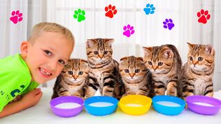 Vlad and Niki play with Kittens