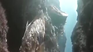 The best game in water