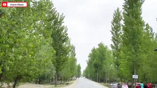 Beautiful place 10
